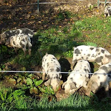 Biohof Hausberg Alojamento de Acomodação e Pequeno-almoço Egglham